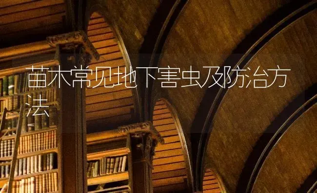 苗木常见地下害虫及防治方法 | 养殖技术大全