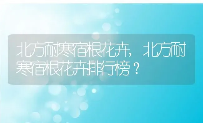 客厅最好养的大型绿植,客厅绿植排名前十名大型喜阴？ | 养殖科普