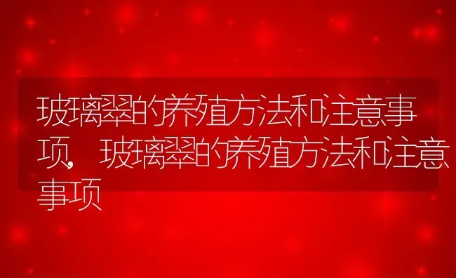 玻璃翠的养殖方法和注意事项,玻璃翠的养殖方法和注意事项 | 养殖科普