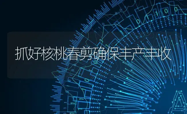 抓好核桃春剪确保丰产丰收 | 养殖技术大全