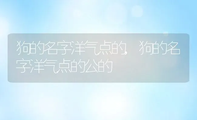 狗的名字洋气点的,狗的名字洋气点的公的 | 养殖科普