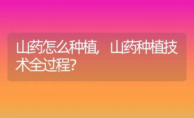 什么狗最温顺,什么狗最温顺不咬人又可爱 | 养殖科普