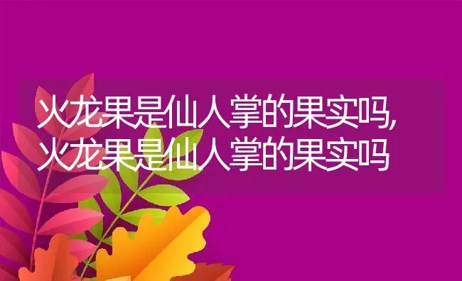 火龙果是仙人掌的果实吗,火龙果是仙人掌的果实吗 | 养殖科普