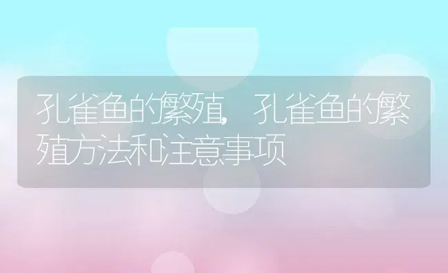 孔雀鱼的繁殖,孔雀鱼的繁殖方法和注意事项 | 养殖科普