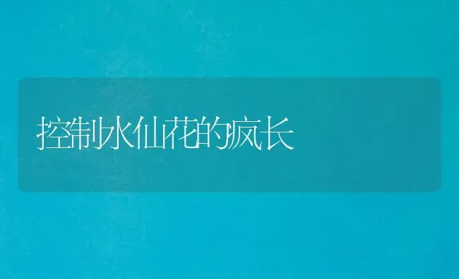 控制水仙花的疯长 | 养殖知识