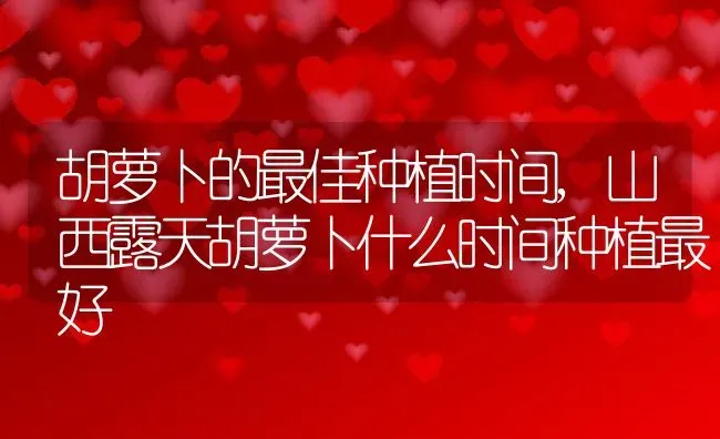 胡萝卜的最佳种植时间,山西露天胡萝卜什么时间种植最好 | 养殖学堂
