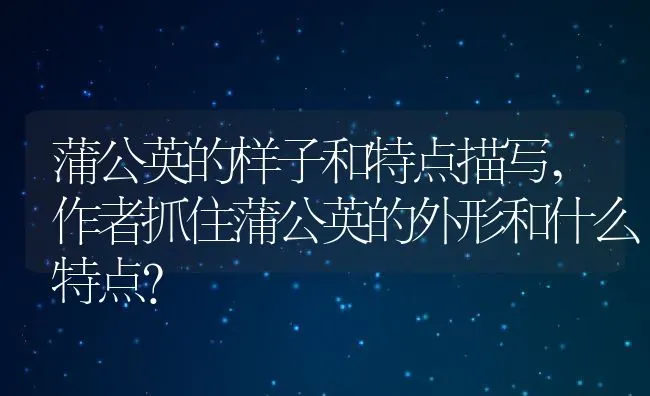 蒲公英的样子和特点描写,作者抓住蒲公英的外形和什么特点？ | 养殖科普