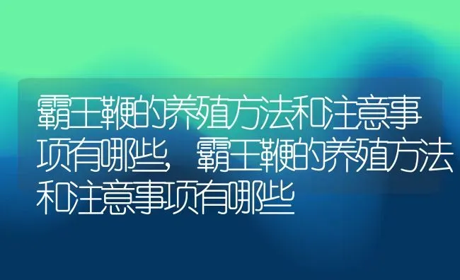 霸王鞭的养殖方法和注意事项有哪些,霸王鞭的养殖方法和注意事项有哪些 | 养殖科普