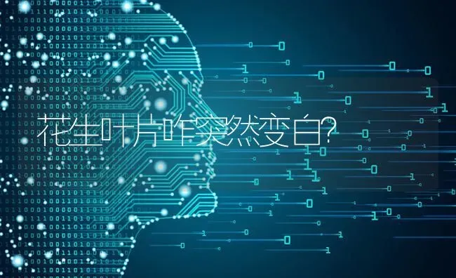 花生叶片咋突然变白? | 养殖知识