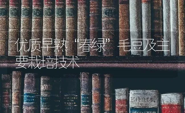 优质早熟“春绿”毛豆及主要栽培技术 | 养殖知识