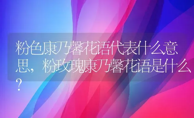 粉色康乃馨花语代表什么意思,粉玫瑰康乃馨花语是什么？ | 养殖学堂