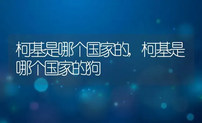 柯基是哪个国家的,柯基是哪个国家的狗 | 养殖资料