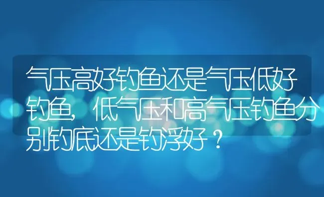 气压高好钓鱼还是气压低好钓鱼,低气压和高气压钓鱼分别钓底还是钓浮好？ | 养殖科普