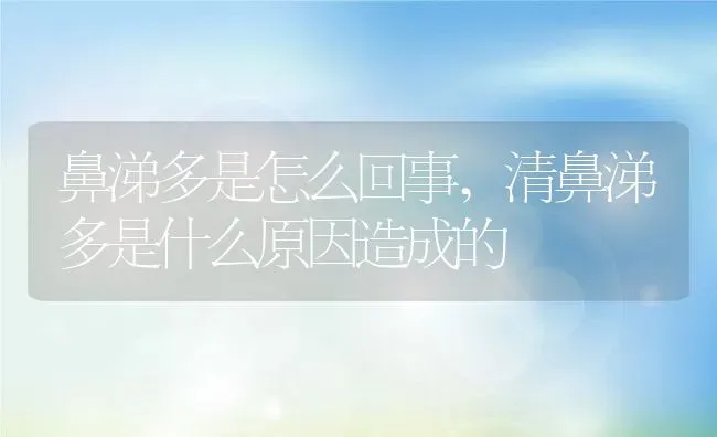 鼻涕多是怎么回事,清鼻涕多是什么原因造成的 | 养殖资料