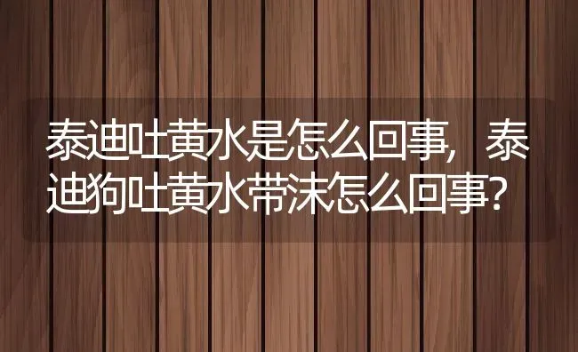 泰迪吐黄水是怎么回事,泰迪狗吐黄水带沫怎么回事？ | 养殖学堂