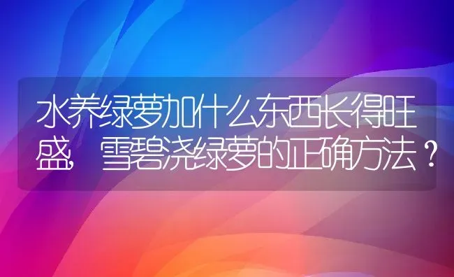 水养绿萝加什么东西长得旺盛,雪碧浇绿萝的正确方法？ | 养殖科普