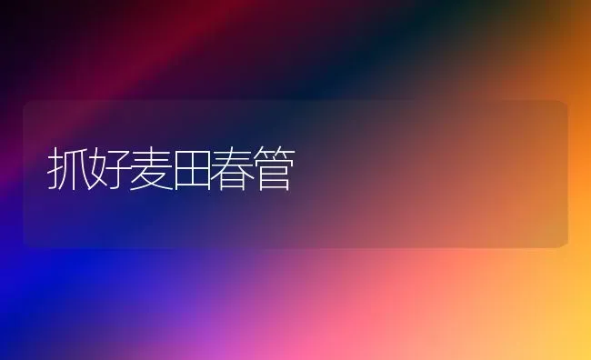 抓好麦田春管 | 养殖技术大全