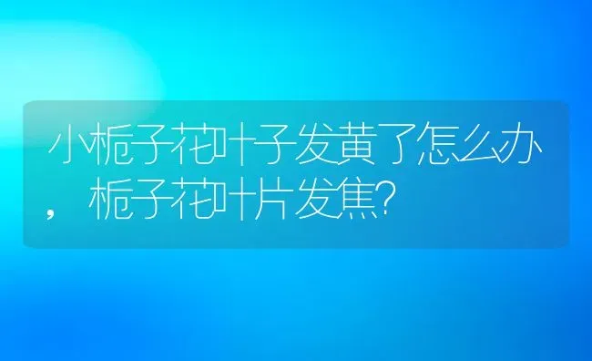 香葱种子怎么种,大面积香葱种子种植方法？ | 养殖科普