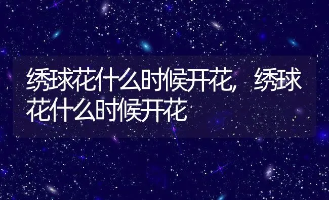 绣球花什么时候开花,绣球花什么时候开花 | 养殖科普