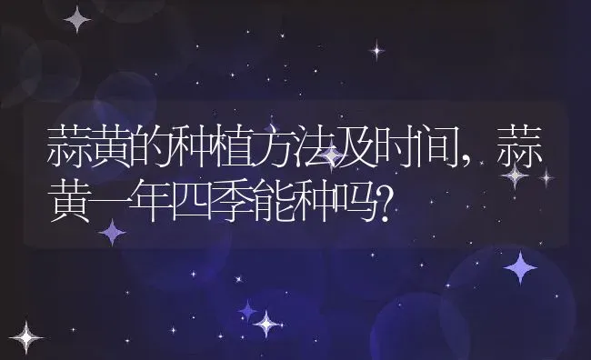 蒜黄的种植方法及时间,蒜黄一年四季能种吗？ | 养殖科普