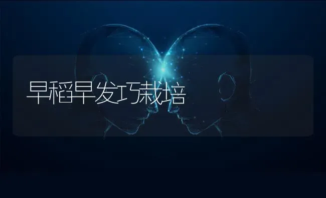 早稻早发巧栽培 | 养殖技术大全