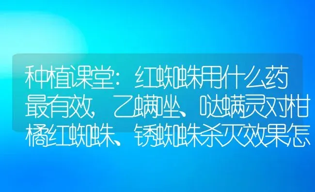 种植课堂:红蜘蛛用什么药最有效,乙螨唑、哒螨灵对柑橘红蜘蛛、锈蜘蛛杀灭效果怎样 | 养殖学堂