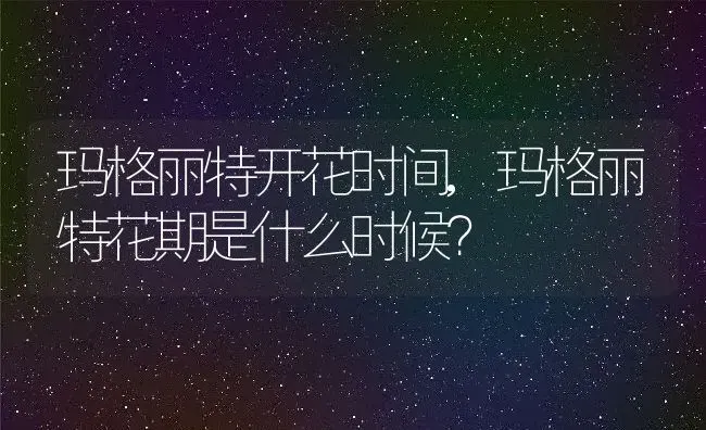 玛格丽特开花时间,玛格丽特花期是什么时候？ | 养殖科普