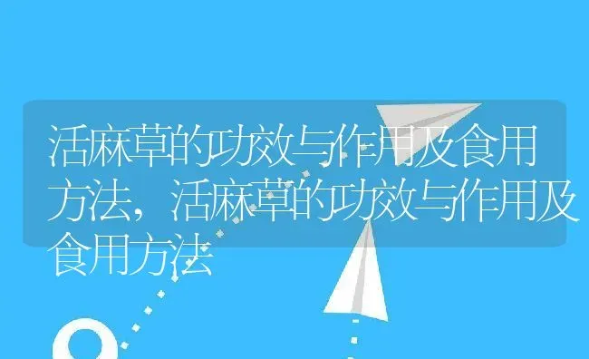 活麻草的功效与作用及食用方法,活麻草的功效与作用及食用方法 | 养殖科普