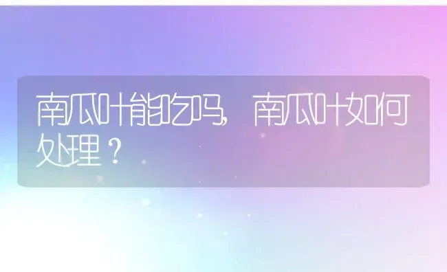 南瓜叶能吃吗,南瓜叶如何处理？ | 养殖科普