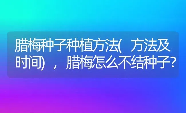 腊梅种子种植方法(方法及时间),腊梅怎么不结种子？ | 养殖科普