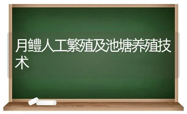 月鳢人工繁殖及池塘养殖技术 | 养殖技术大全