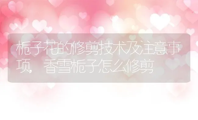 栀子花的修剪技术及注意事项,香雪栀子怎么修剪 | 养殖学堂