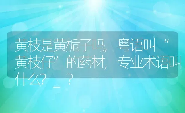 黄枝是黄栀子吗,粤语叫“黄枝仔”的药材,专业术语叫什么?_？ | 养殖科普