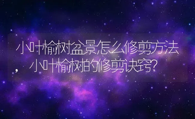 小叶榆树盆景怎么修剪方法,小叶榆树的修剪诀窍？ | 养殖科普