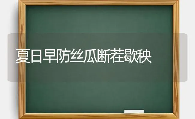 夏日早防丝瓜断茬歇秧 | 养殖知识