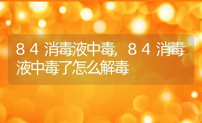 84消毒液中毒,84消毒液中毒了怎么解毒 | 养殖资料