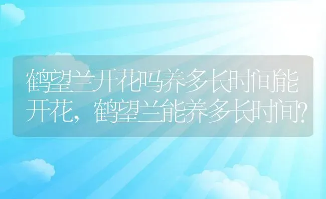 鹤望兰开花吗养多长时间能开花,鹤望兰能养多长时间？ | 养殖科普