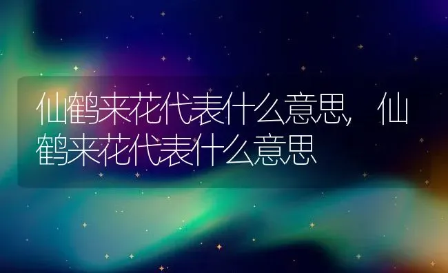 仙鹤来花代表什么意思,仙鹤来花代表什么意思 | 养殖科普