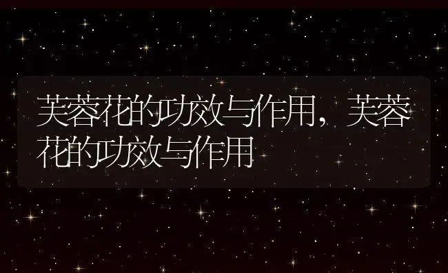 芙蓉花的功效与作用,芙蓉花的功效与作用 | 养殖科普