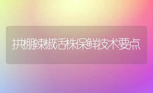 拱棚辣椒活株保鲜技术要点 | 养殖技术大全