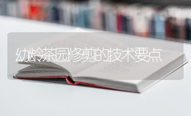 幼龄茶园修剪的技术要点 | 养殖技术大全
