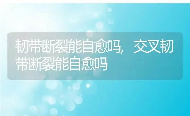 韧带断裂能自愈吗,交叉韧带断裂能自愈吗 | 养殖资料