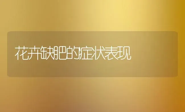 花卉缺肥的症状表现 | 养殖技术大全