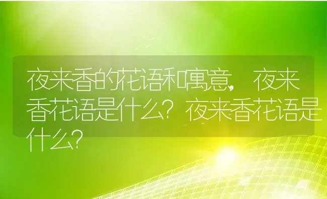 夜来香的花语和寓意,夜来香花语是什么？夜来香花语是什么？ | 养殖学堂