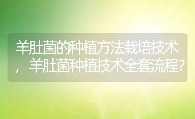 羊肚菌的种植方法栽培技术,羊肚菌种植技术全套流程？ | 养殖科普