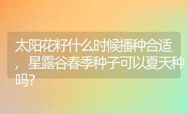 太阳花籽什么时候播种合适,星露谷春季种子可以夏天种吗？ | 养殖科普