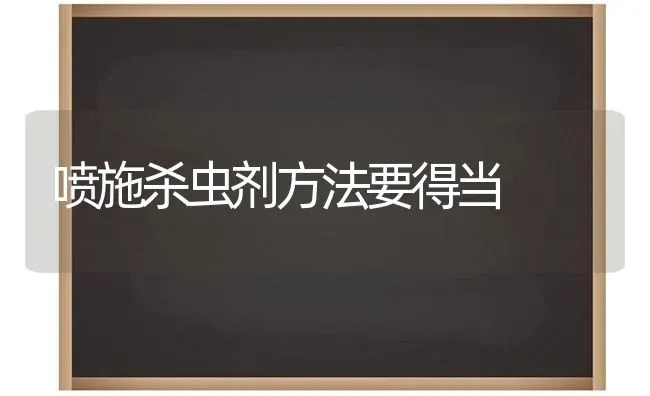 喷施杀虫剂方法要得当 | 养殖技术大全