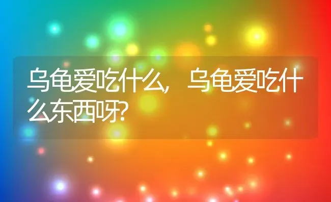 乌龟爱吃什么,乌龟爱吃什么东西呀? | 养殖资料