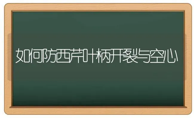 如何防西芹叶柄开裂与空心 | 养殖知识