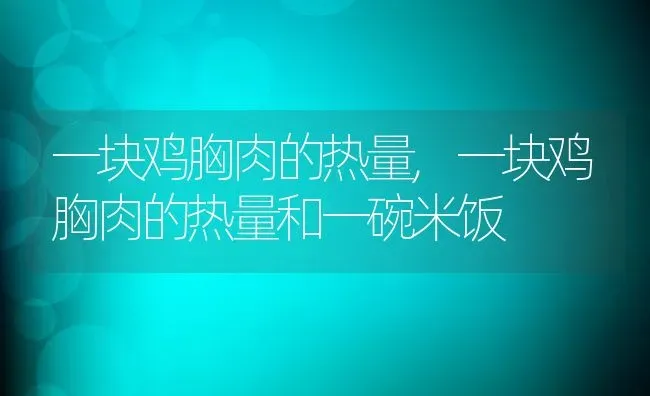 一块鸡胸肉的热量,一块鸡胸肉的热量和一碗米饭 | 养殖科普
